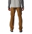Silver Ridge Utility Erkek Pantolon