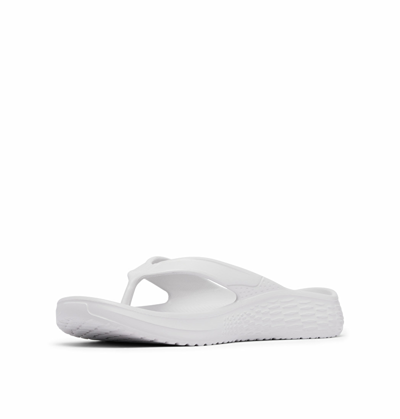 product-gallery-15373328
