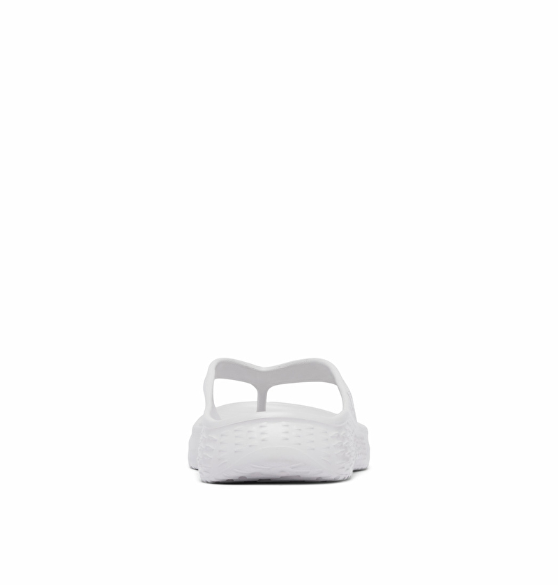 product-gallery-15373352