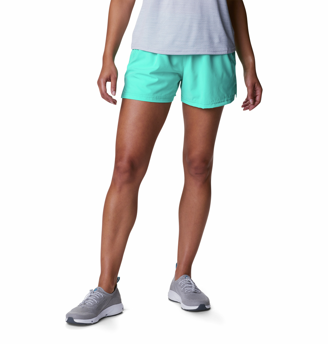 Alpine Chill Zero Kadın Şort