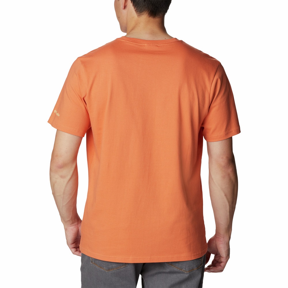 Columbia Deschutes Valley Graphic Erkek Kısa Kollu T-Shirt. 2