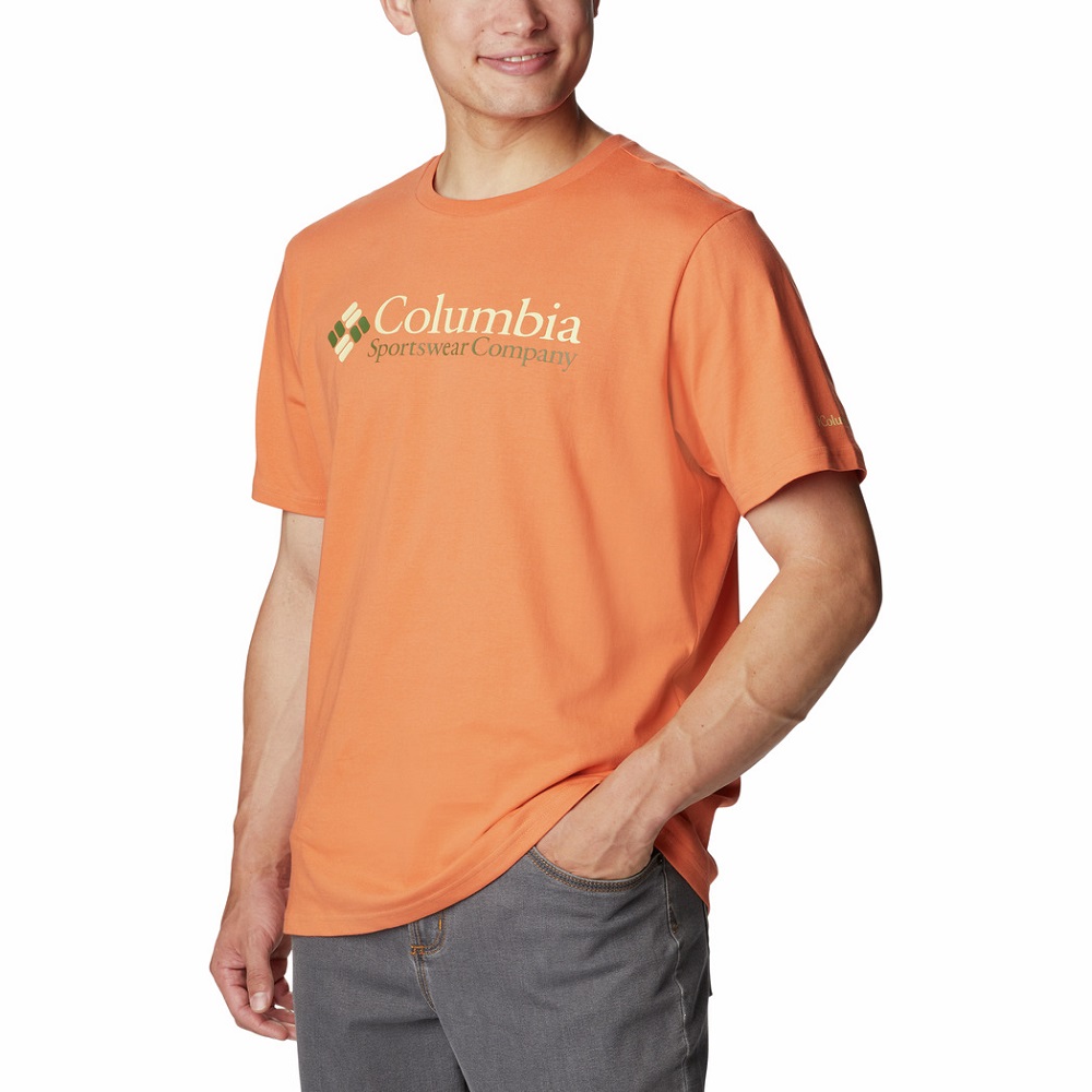 Columbia Deschutes Valley Graphic Erkek Kısa Kollu T-Shirt. 4