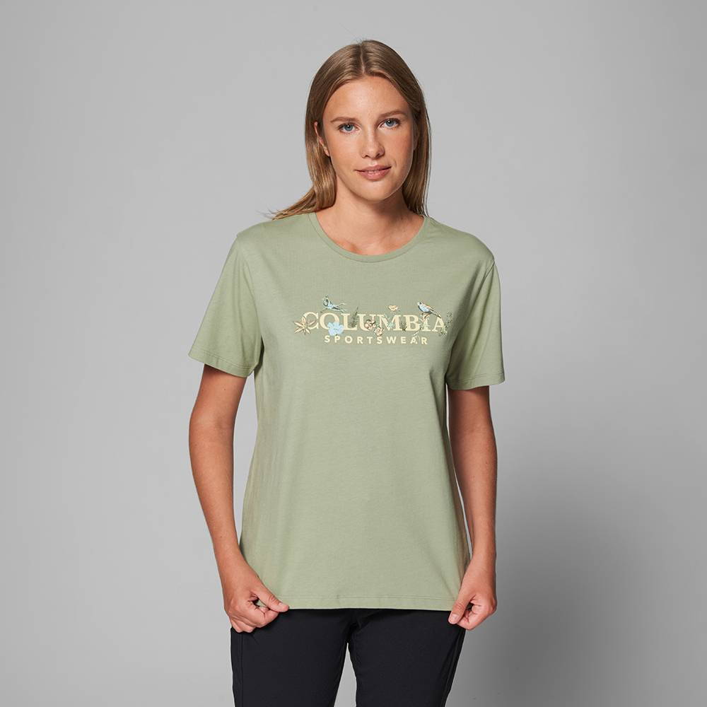 Safari