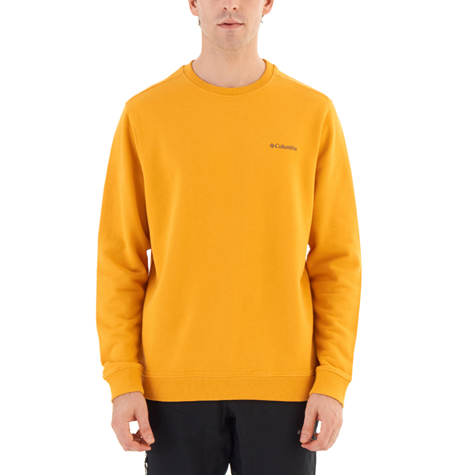 CSC Basic Crew Erkek Sweatshirt