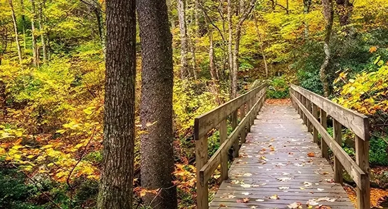 Sonbaharın Renkleri: Sonbahardaki Yürüyüşlerin İçin 6 İlginç Bilgi